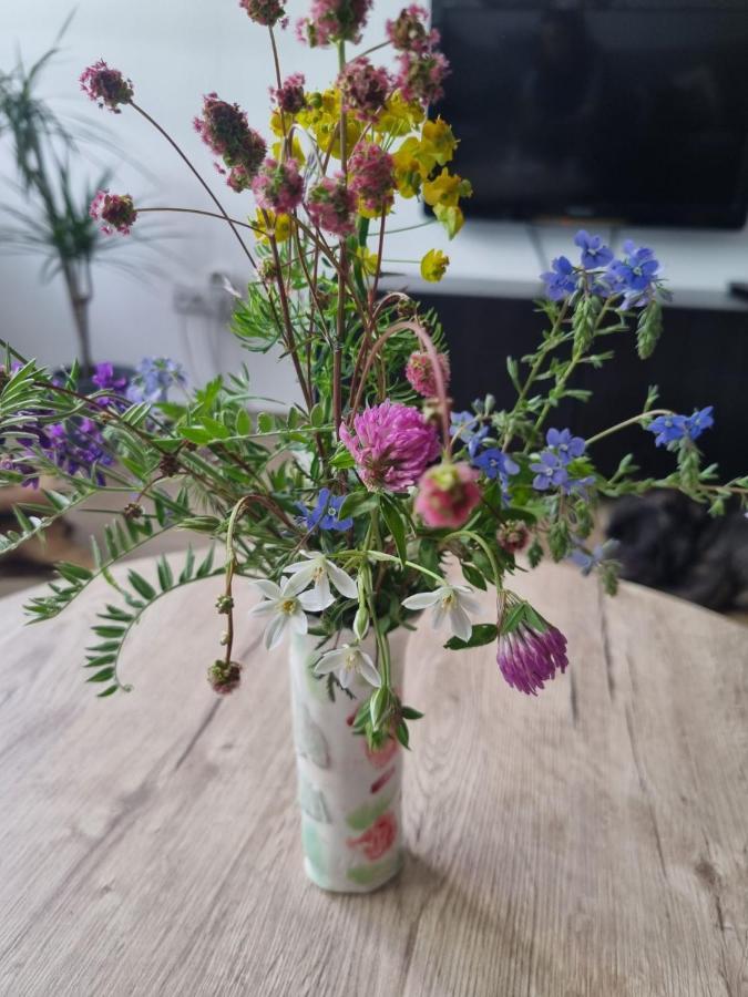 Apartman Nana Divčibare Екстериор снимка